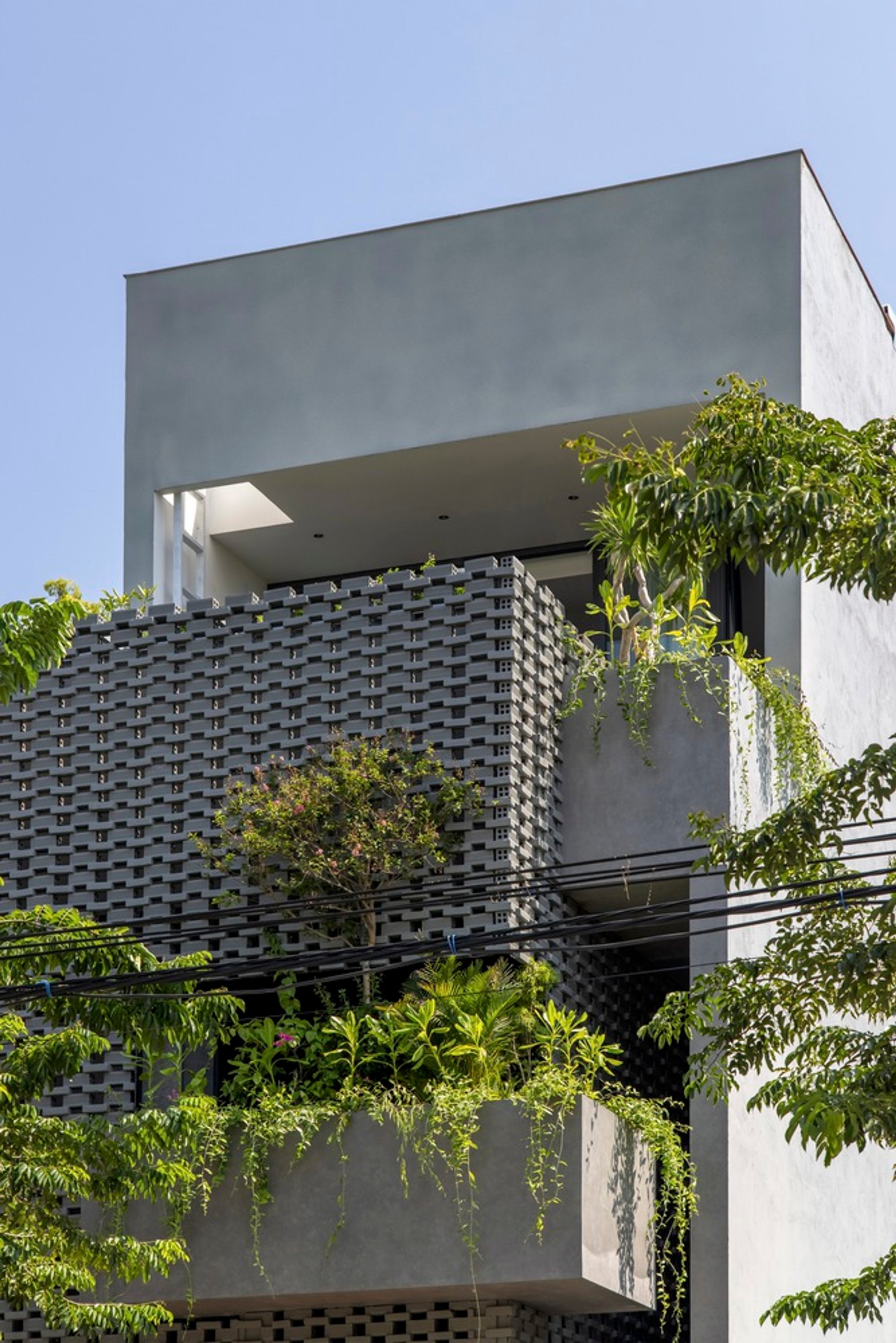 Embrace Nature: A Tranquil Retreat in Urban Vietnam - HY House by TRAN TRUNG Architects
