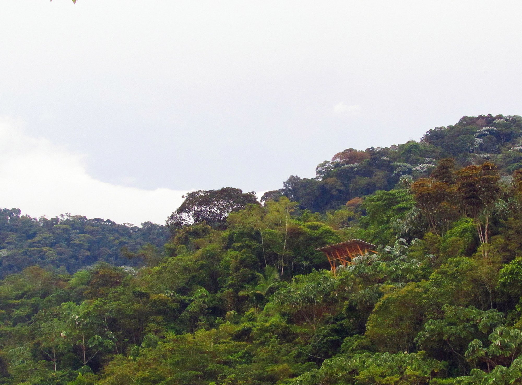 Sustainable Architecture in Colombia: A Deep Dive into Mirador del Duende Project