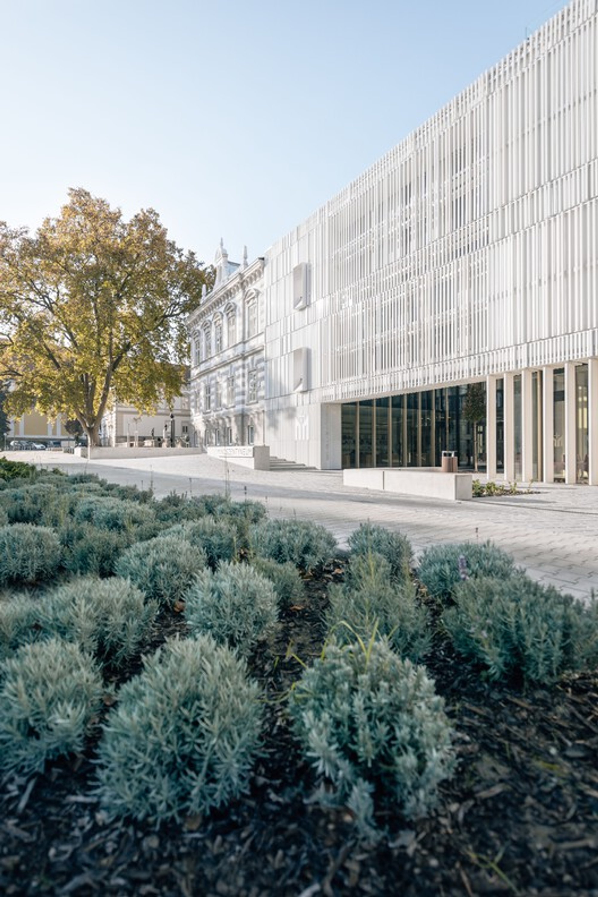 Mindszentyneum Visitor Center in Zalaegerszeg: A Beacon of Architectural Brilliance