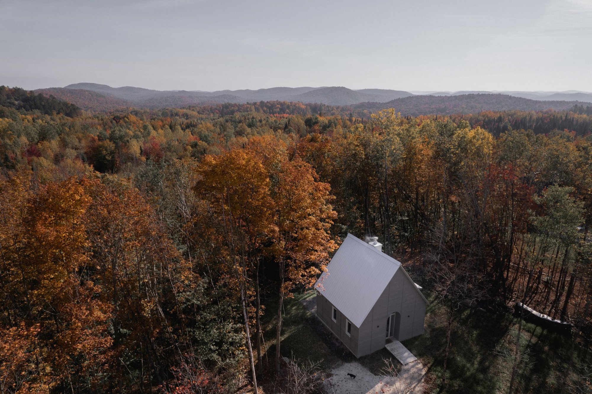 Unveiling the Charm of a Pet-Friendly Haven in Mont Tremblant
