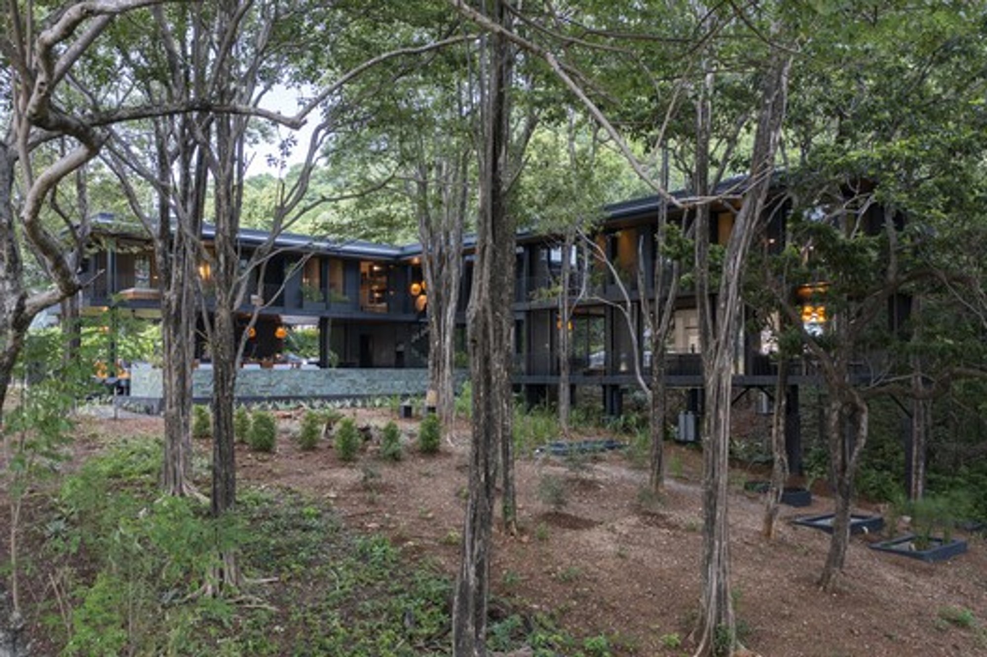 Mimetic Architecture: Blending Design with Nature at Casa Perla Negra