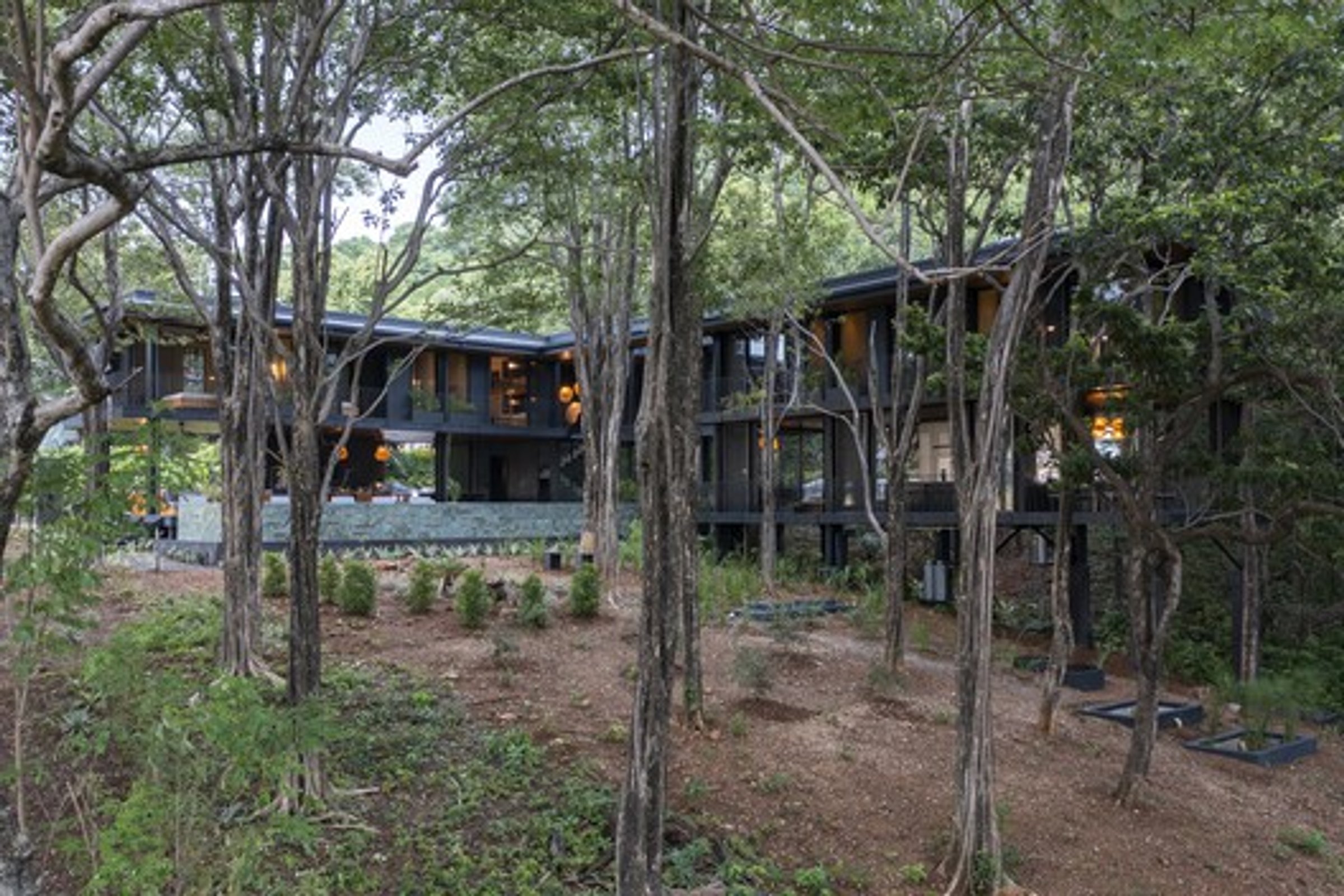 Mimetic Architecture: Blending Design with Nature at Casa Perla Negra