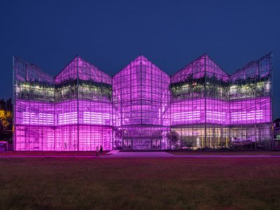 Vertical Farming Architecture: The Future of Urban Agriculture