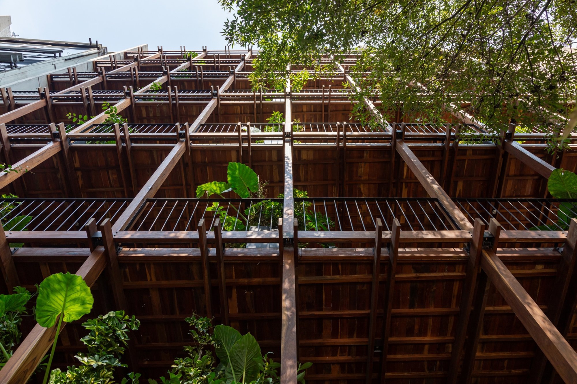 Unveiling Wooden Architecture in Mexico City: The Condo-Hotel Ana Polanco by Local de Arquitectura