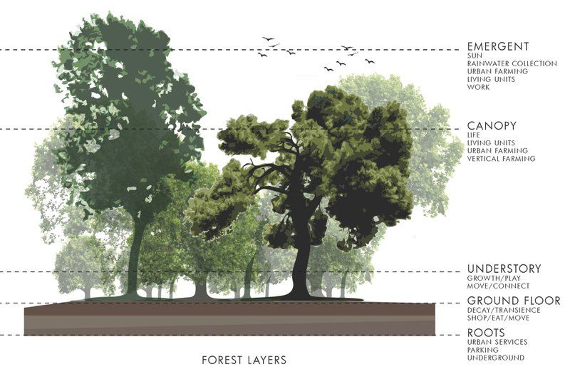 Mateo72020 12 18T19 35 09 206828