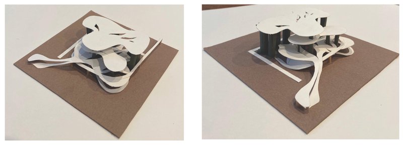 Mateo72020 12 18T19 38 12 253828