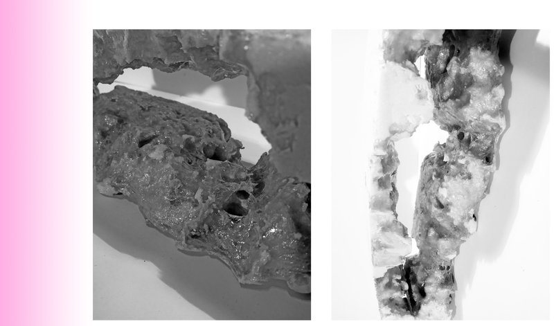 Mina0822021 01 26T19 09 57 070899