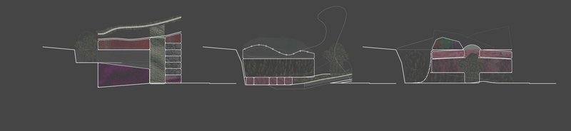 Mina0822021 01 26T19 13 43 100969