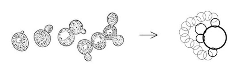 Natalia2282022 07 05T12 46 57 523566