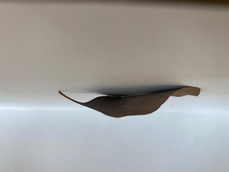 Nikki662021 07 19T03 38 29 501403