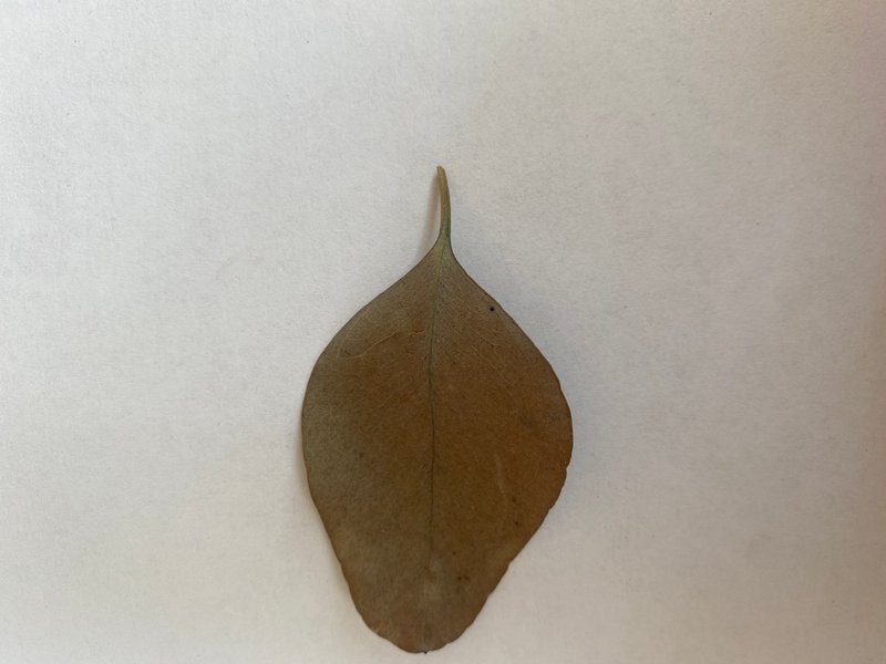 Nikki662021 07 19T03 39 18 177563