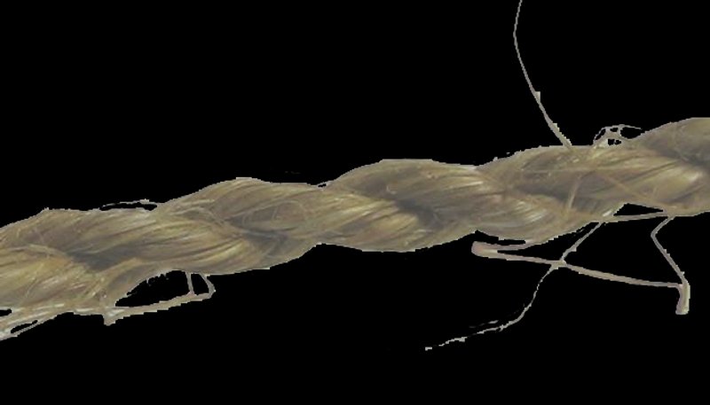 Nikki662021 07 19T03 53 05 649881