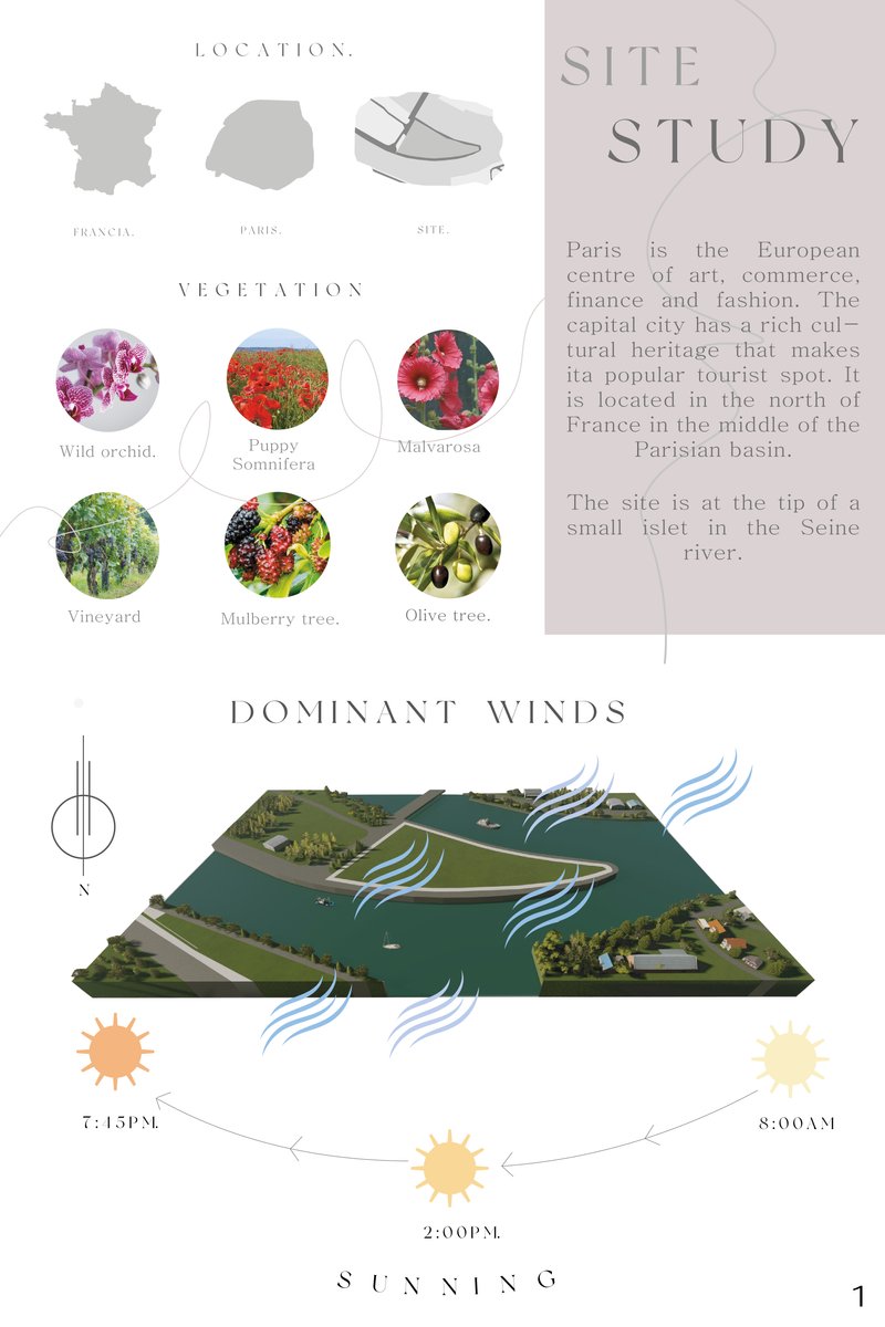 Brissa paola22021 10 17T19 09 55 373440