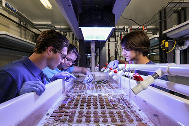 Edward12021 03 29T15 10 55 966780