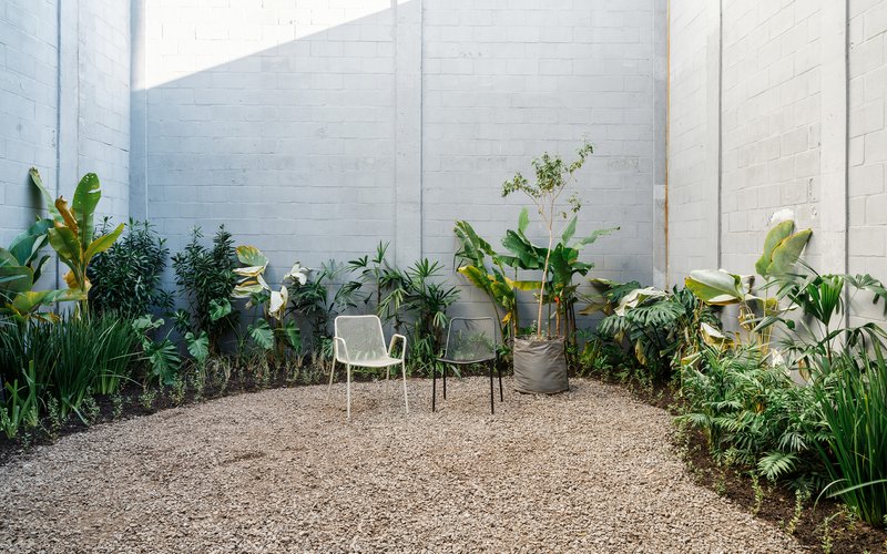 Enclosed courtyard with gravel floor and planted beds of banana leaves and grasses against white masonry walls