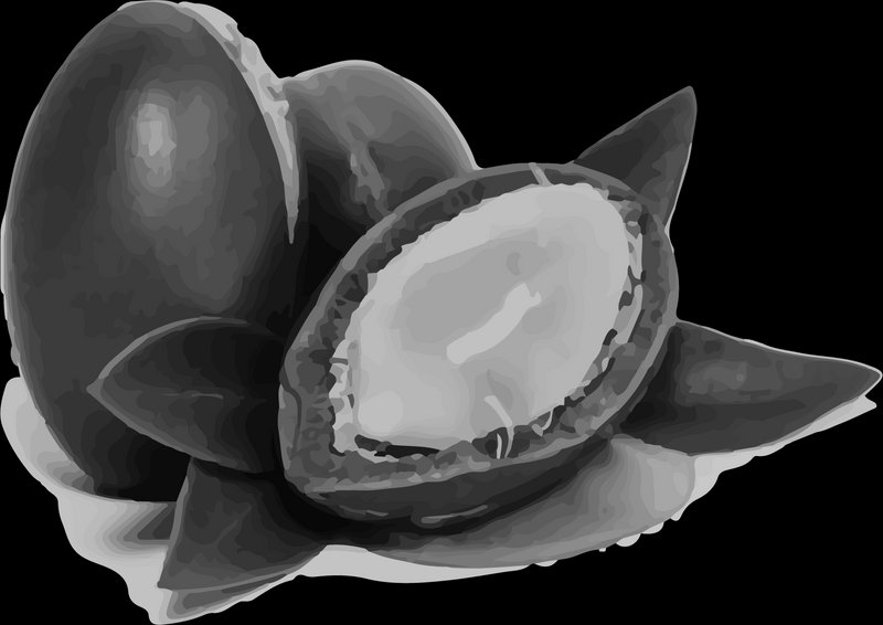 Indara.pilynn2021 07 27T13 31 03 898885