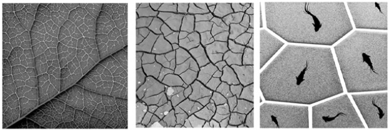 Jacek92022 06 20T17 52 59 836673