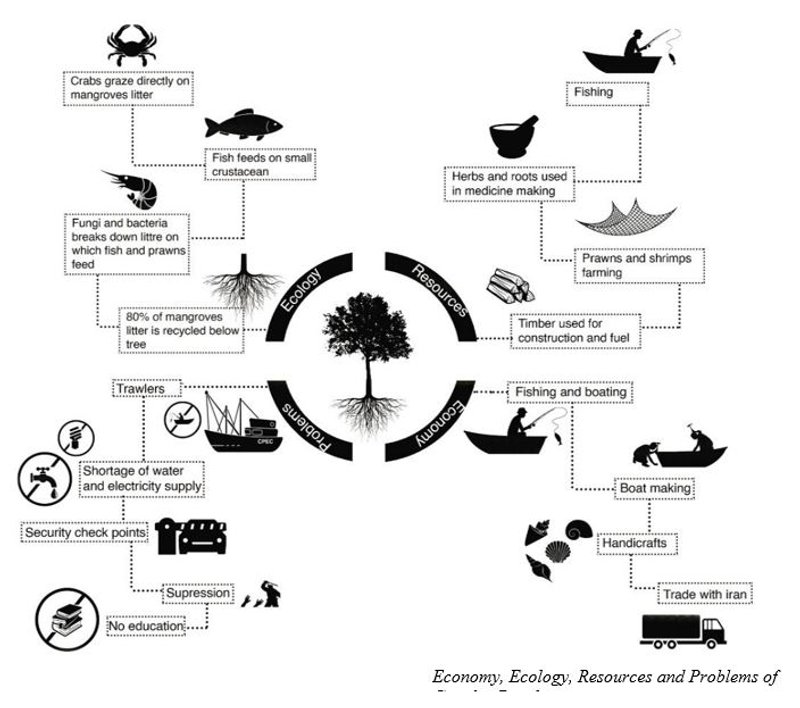 Jawad72022 08 04T17 02 05 592984