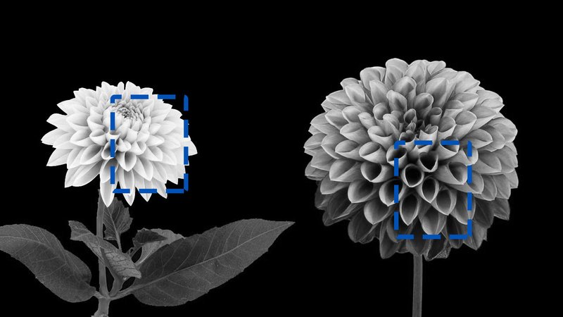 Jay4892021 12 14T10 41 08 456491