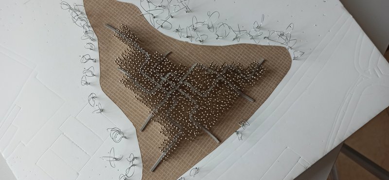 Karolina9832021 08 03T12 43 48 456535