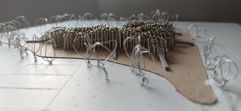 Karolina9832021 08 03T12 44 18 311134