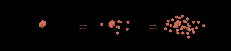 Karolina9832021 08 03T12 45 08 287229