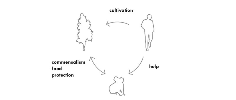 Fig. 1. Idea of the project