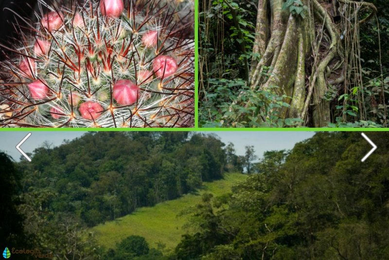 Paolaprieto122022 09 30T16 01 09 079467