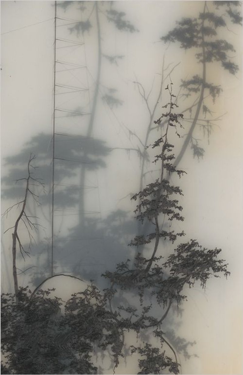 Parisa242022 04 11T17 33 38 512650