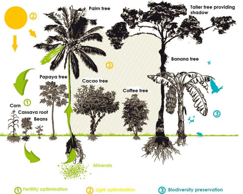 Samuel112021 07 27T11 37 53 006570