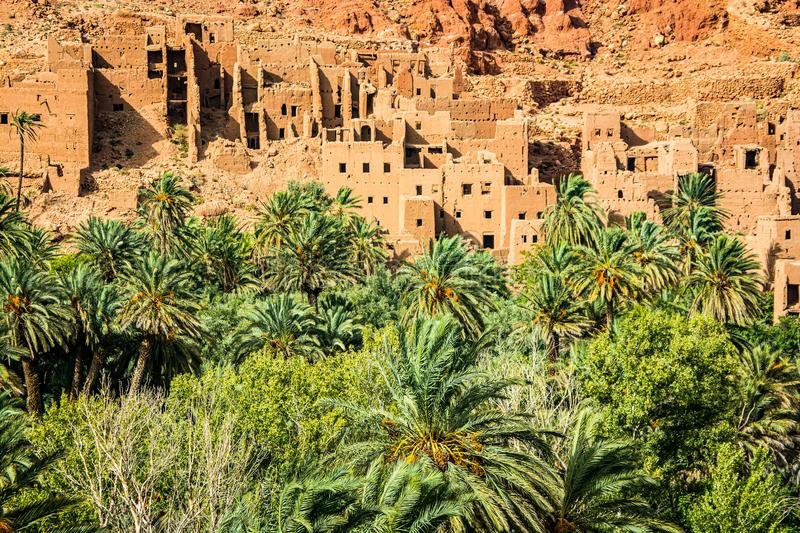 Samuel112021 07 27T11 37 07 454982