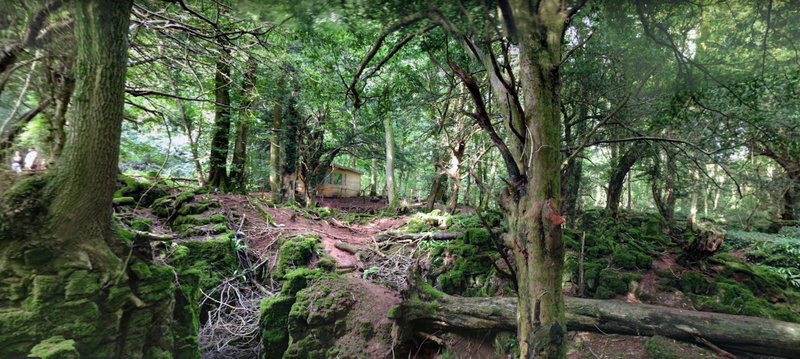 Sara4692021 12 24T07 33 51 033738