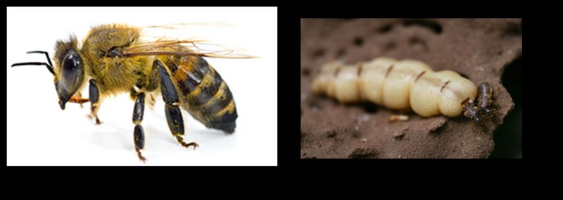 Sara4692021 12 24T07 36 55 796484