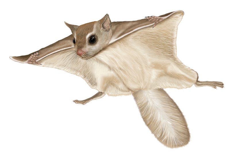 Sathya212021 07 21T04 15 28 977079