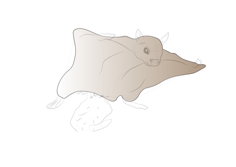 Sathya212021 07 21T04 16 17 138288