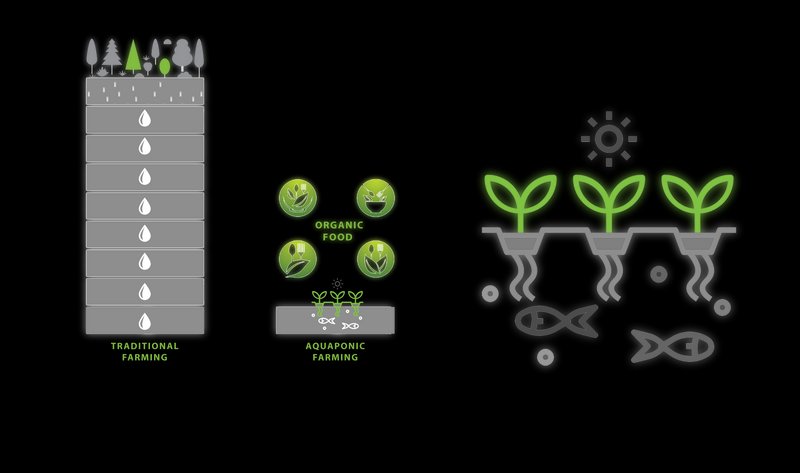 Taha52021 12 01T19 17 55 599105