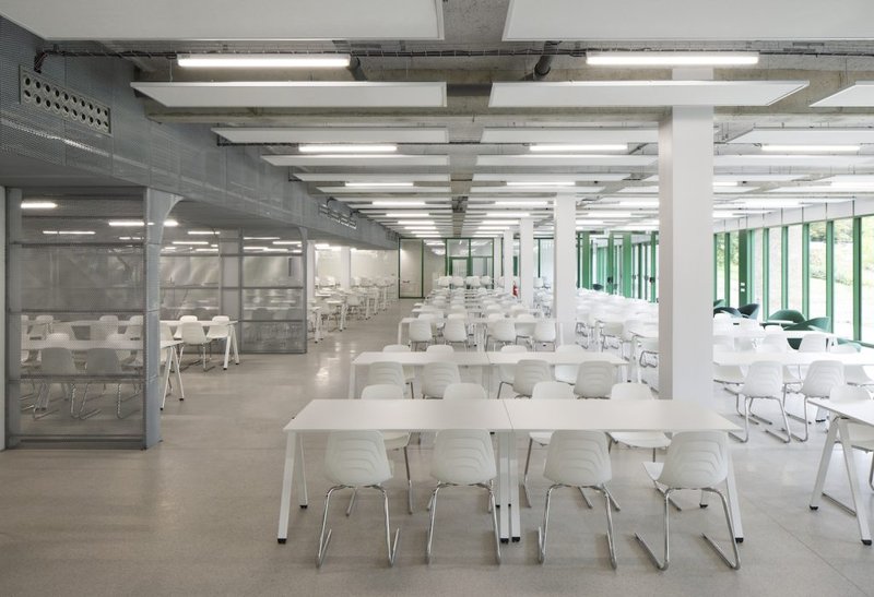 This opens up the interior  to the surroundings and flooding it with natural light