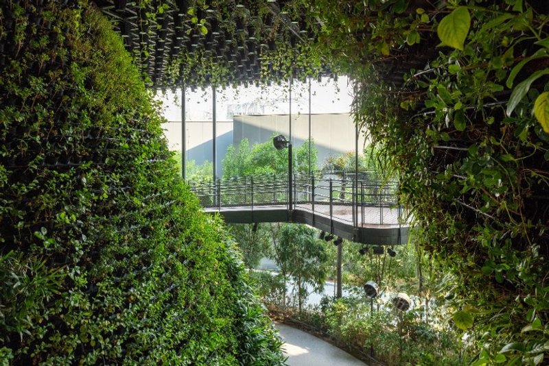 Canopy Walk, © Singapore Pavilion, Expo 2020 Dubai