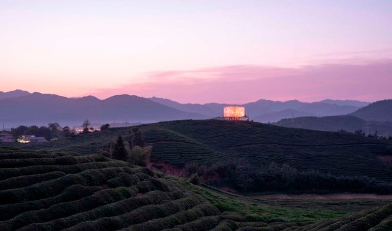 Photo ©Tian Fangfang