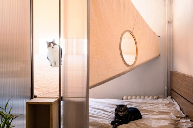 The cats' tent © Houshi Architecture