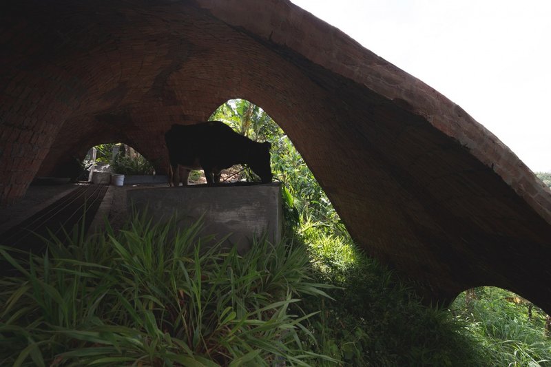 The height difference in the field © Althaf AR