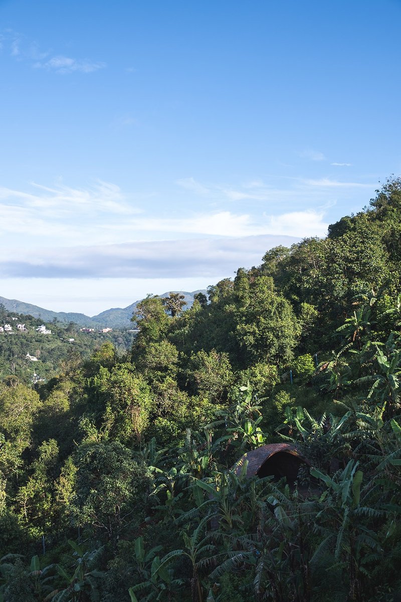 Vision, day view at distance © Althaf AR