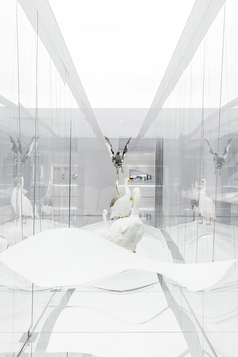 Details of the goose specimen ©Meng Qingwei, Xie Yilun, Wu Ruozheng