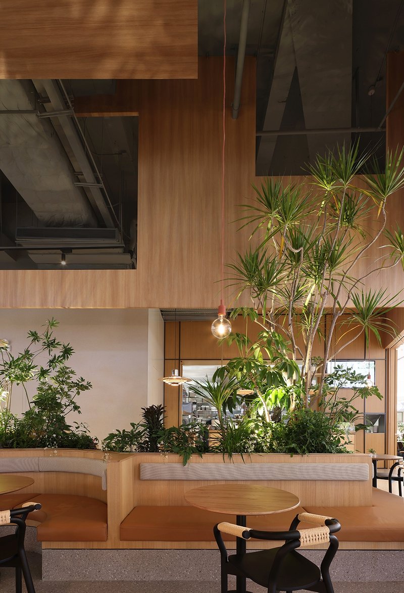 The "oasis" located in the city © Xiao Le