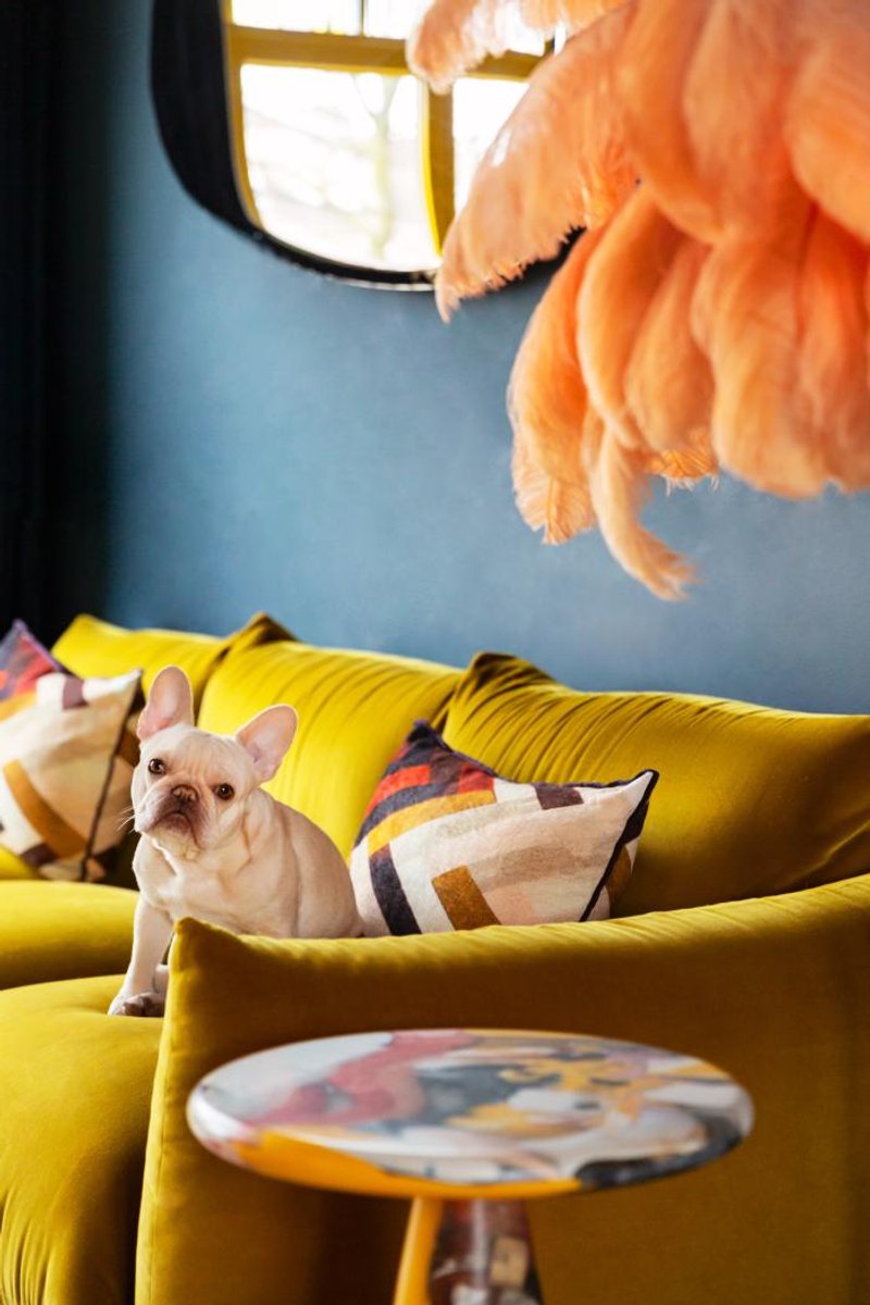 @GIOVANNI NARDI&nbsp;&nbsp;