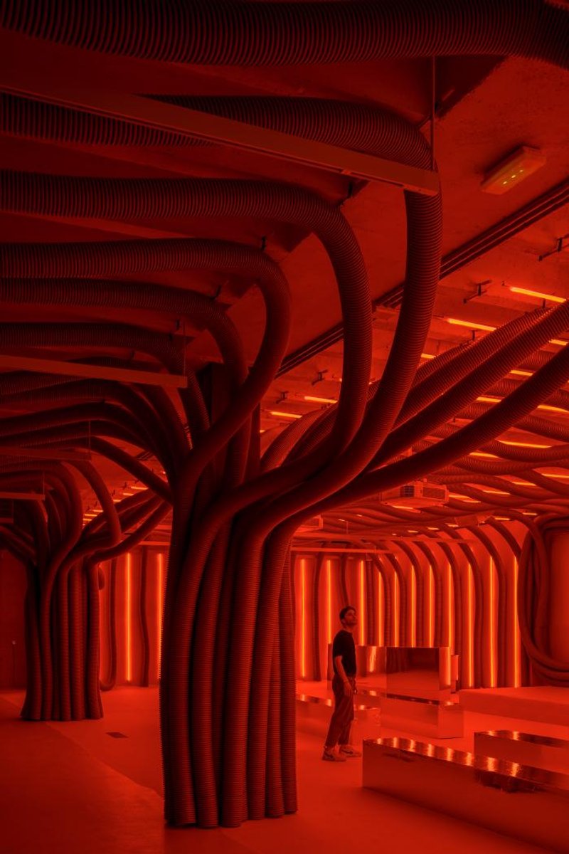 @JAVIER DE PAZ GARCÍA