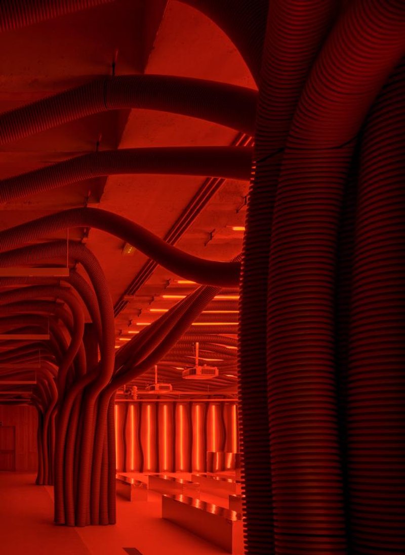 @JAVIER DE PAZ GARCÍA