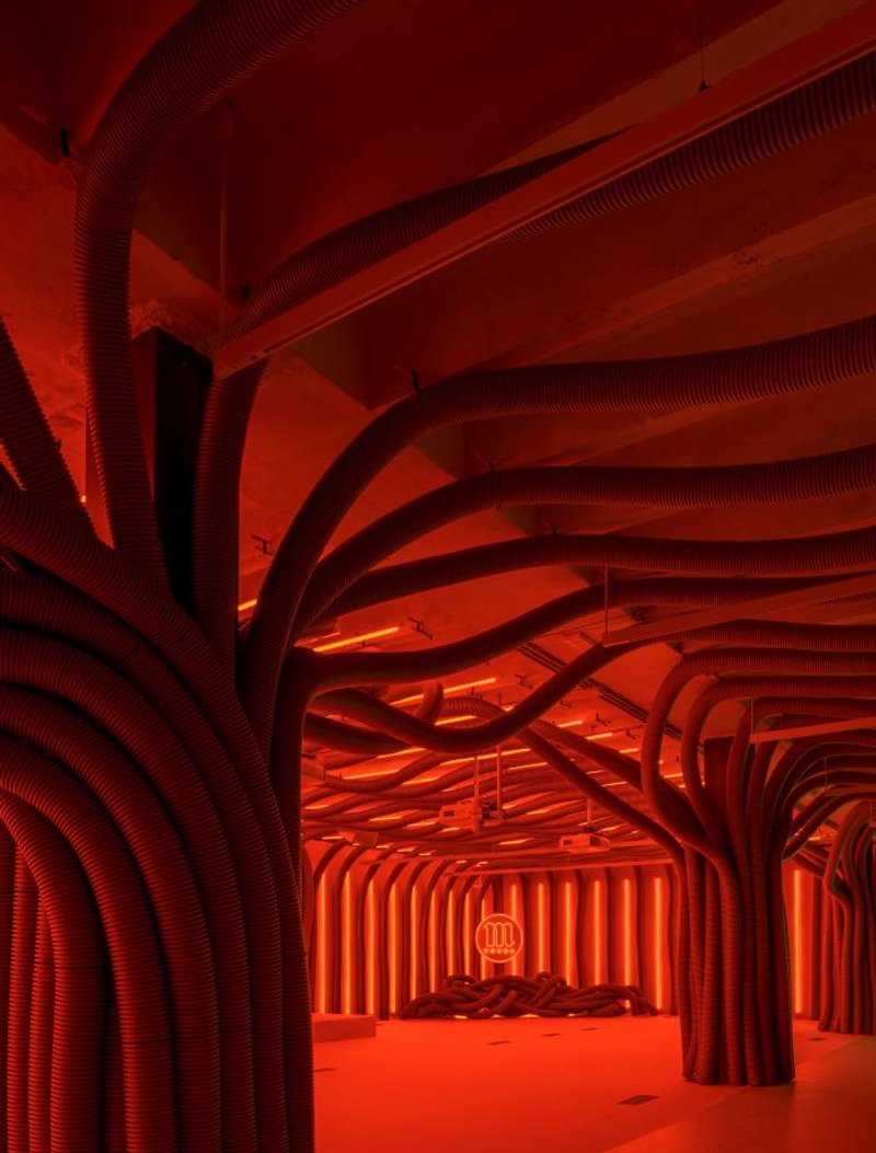 @JAVIER DE PAZ GARCÍA