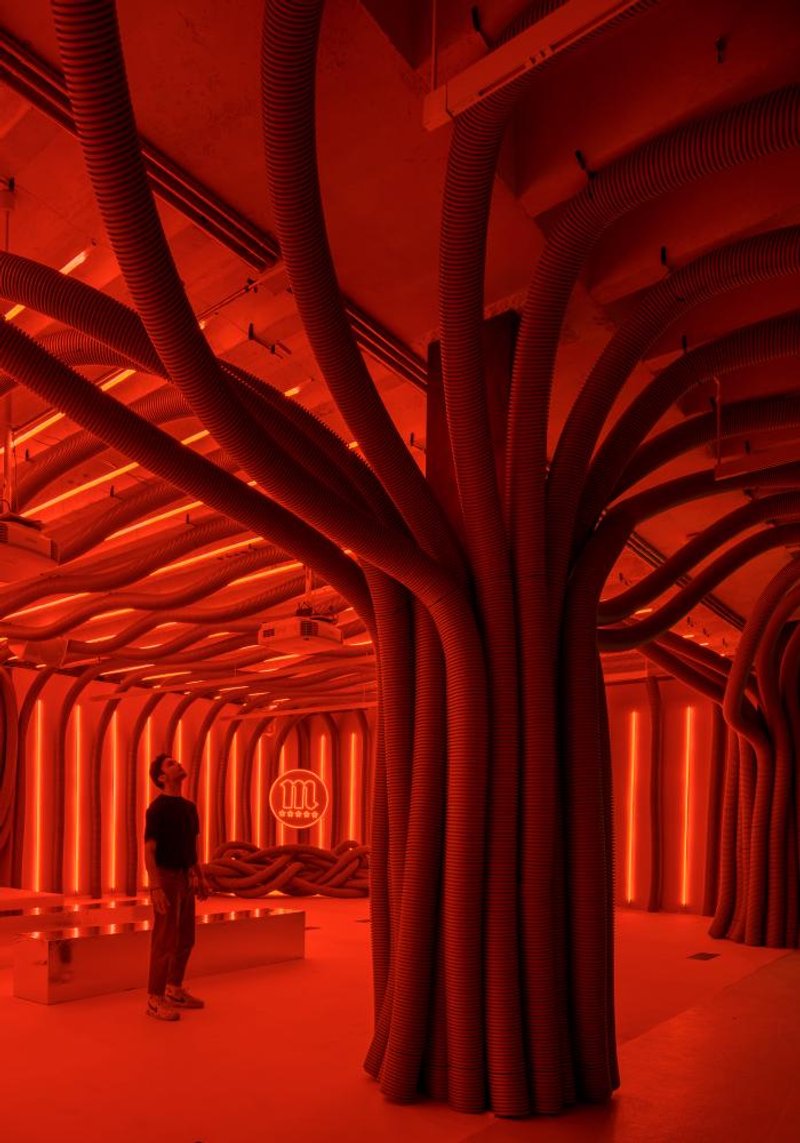 @JAVIER DE PAZ GARCÍA