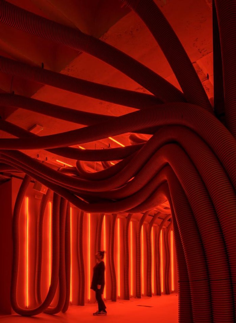 @JAVIER DE PAZ GARCÍA